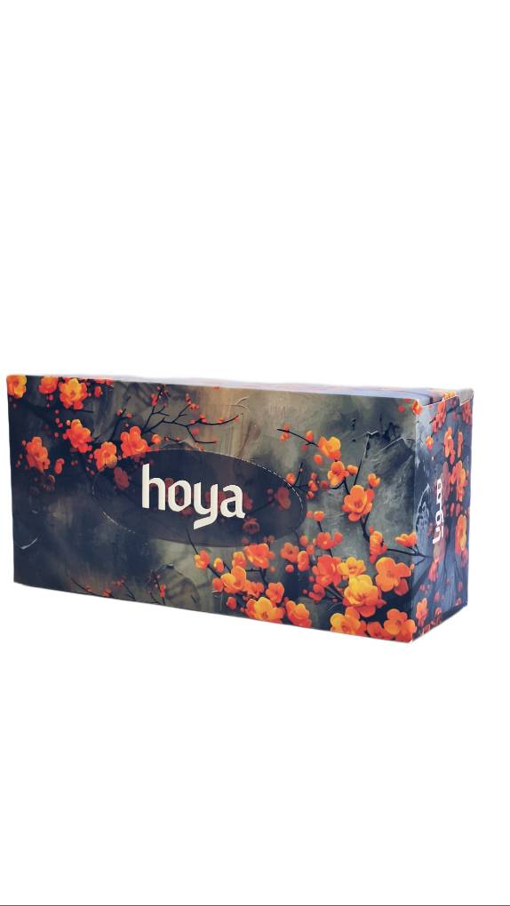 دستمال کاغذی جعبه ای 150 برگ دولایه هویا (بسته 36 عددی در 6 طرح متفاوت)