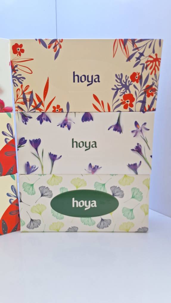 دستمال کاغذی جعبه ای 100 برگ دولایه هویا (بسته 36 عددی در 6 طرح)