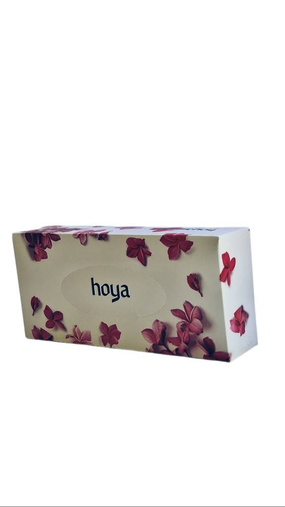 دستمال کاغذی جعبه ای 100 برگ دولایه هویا (بسته 36 عددی در 6 طرح)
