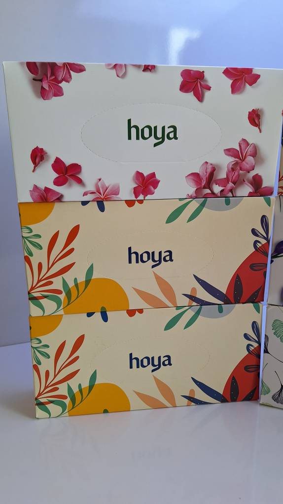 دستمال کاغذی جعبه ای 100 برگ دولایه هویا (بسته 36 عددی در 6 طرح)